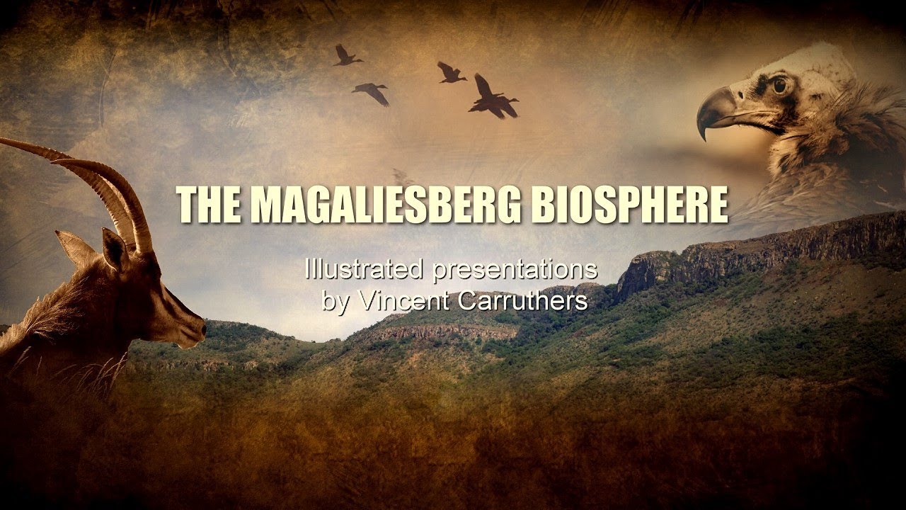 You are currently viewing Introduction to the Magaliesberg – Part 1