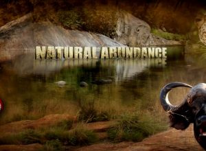 Natural Abundance -Part 4
