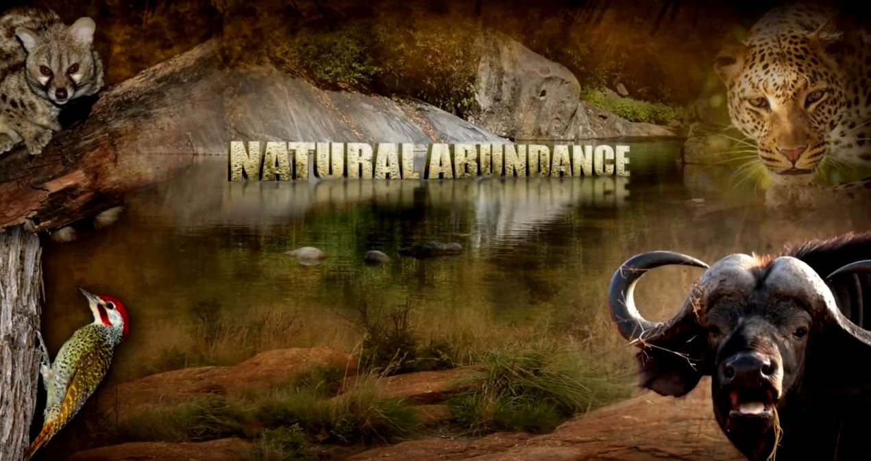 You are currently viewing Natural Abundance -Part 4